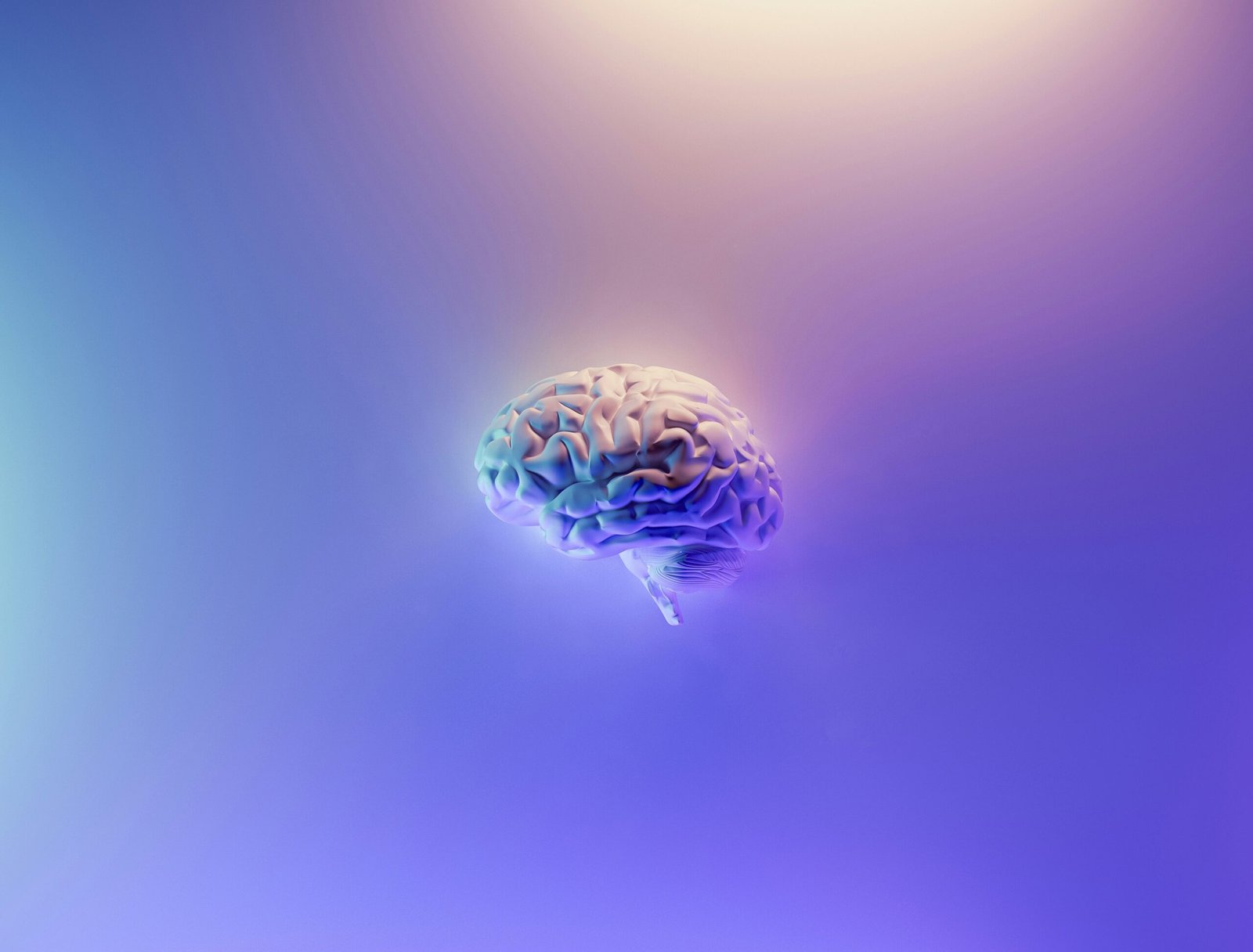 Os Efeitos da Meditação no Cérebro